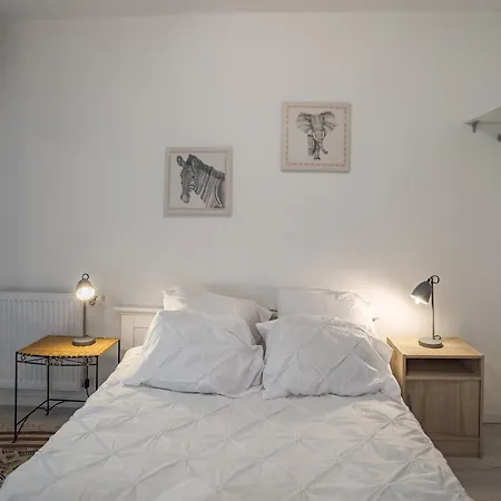 Duplex Saussier- Centre Historique - Ideal Groupe Troyes