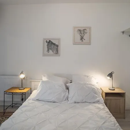 Duplex Saussier- Centre Historique - Ideal Groupe Troyes