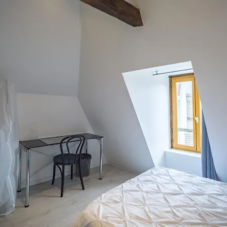 Duplex Saussier- Centre Historique - Ideal Groupe Troyes