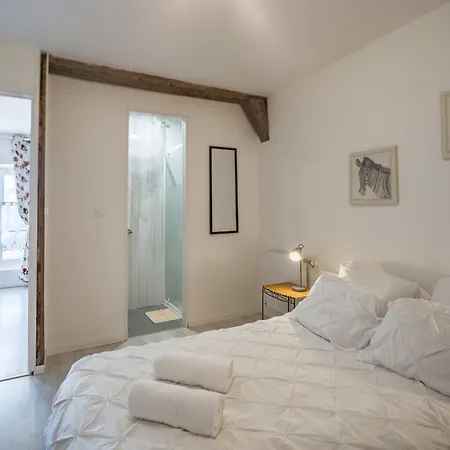 Duplex Saussier- Centre Historique - Ideal Groupe * Troyes